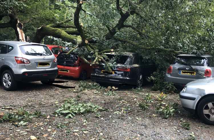 The tree fell onto multiple cars parked in the car park near Kingston Gate