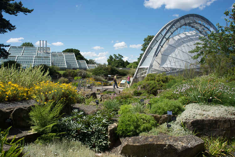 Alphine House at Kew Gardens. Photo courtesy of RBG Kew