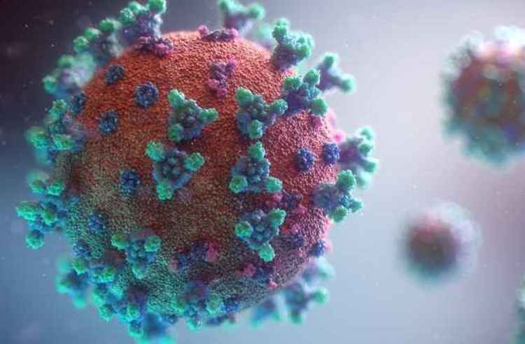 Close-up of a coronavirus cell