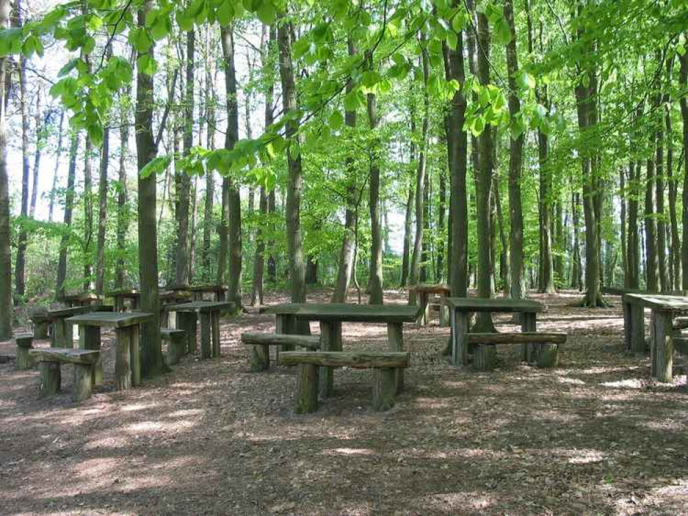 Plans for a forest school near Martinstown have been refused Picture: Pixabay