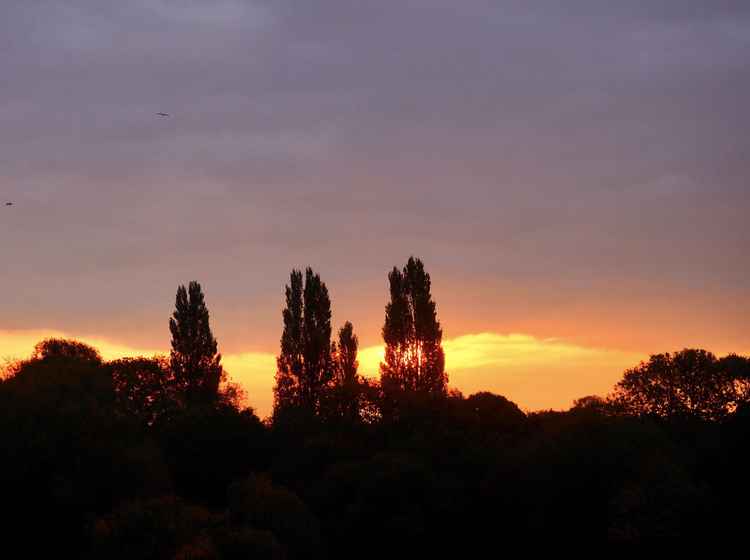Ruth said the sky 'suddenly burst into radiant colour'