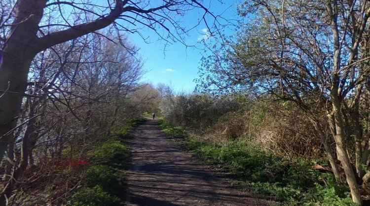 The towpath near Barnes