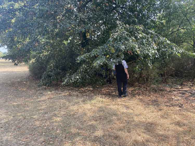 Officer on patrol in Richmond