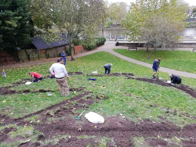 Digging out the dirt - we dug 10cm into the soil to plant the bulbs