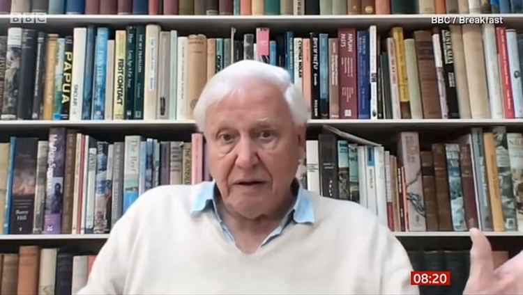 Sir David Attenborough targeted over BBC interview