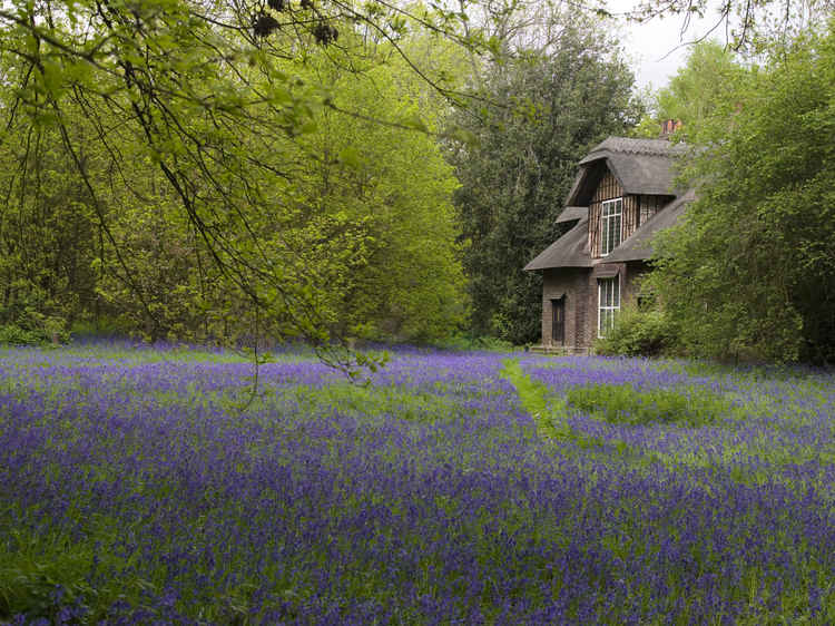 Queen Charlotte's Cottage. All photos courtesy of RBG Kew