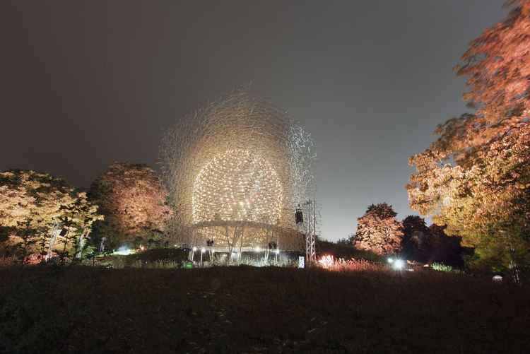 The Hive at Kew at night