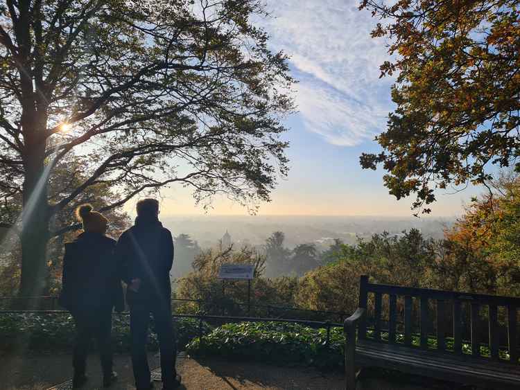 Looking out from King Henry's Mound in Richmond Park