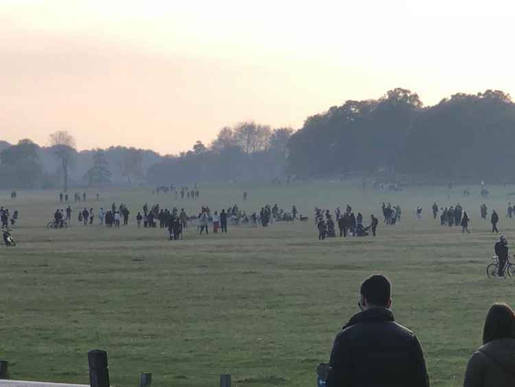 'Richmond Park is very busy and we would like to remind you that government guidelines changed on Nov 5' - Royal Parks Police