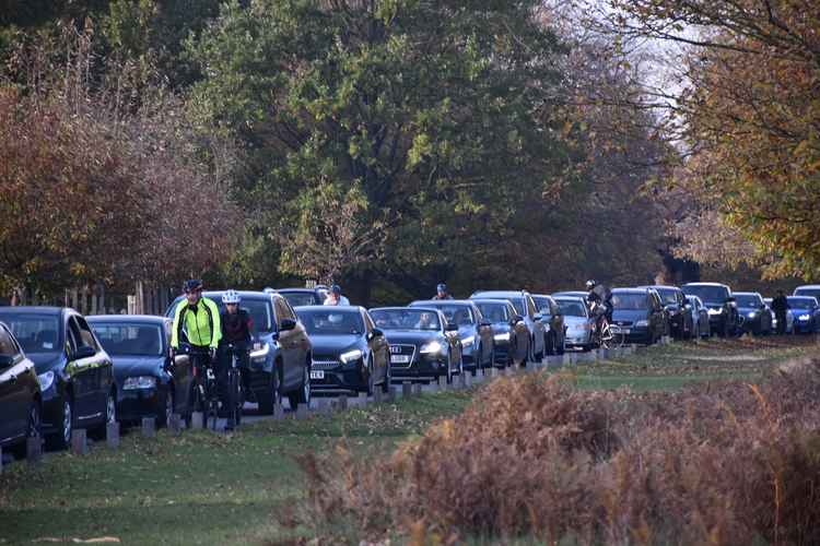 Huge queues on Queen's Road in Richmond Park. Photo by Jack Fifield