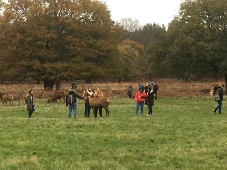 People petting deer. Photo courtesy of Martin Griffett of 47 Photography