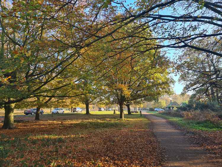 Autumn in the park