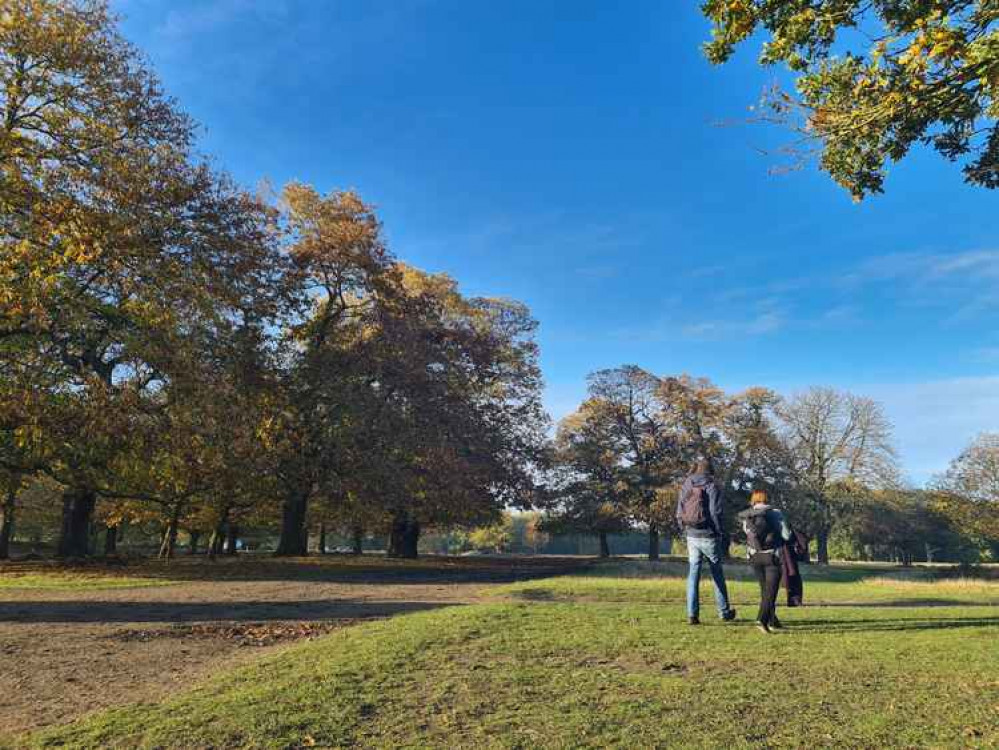 The glorious park on a sunny autumn afternoon