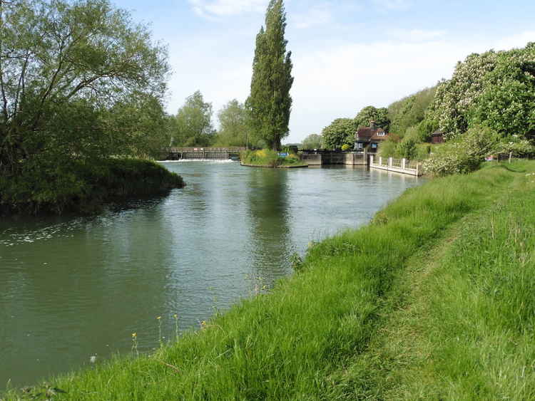 The 40-mile long Thames Path by Dave Kelly