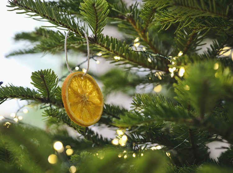 Sustainably sourced trees and decorations