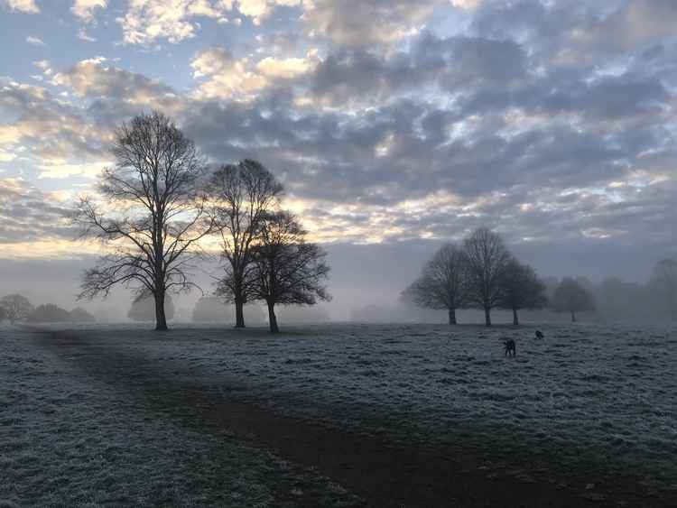 A frosty Richmond Park by Sam @CountessDracula