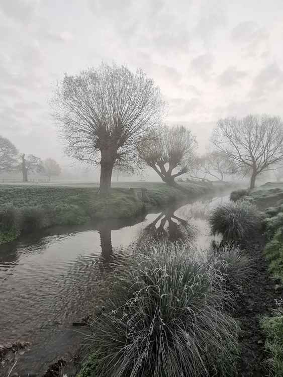 Beverley Brook by Amanda Boardman