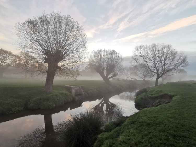 The beautiful brook photographed by Amanda Boardman