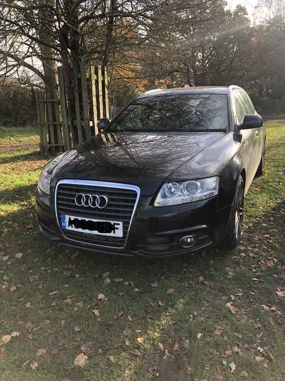 Audi parked on the grass in Richmond's Royal Parks