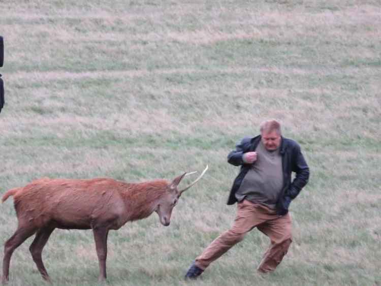 Richmond Park visitors putting themselves at risk