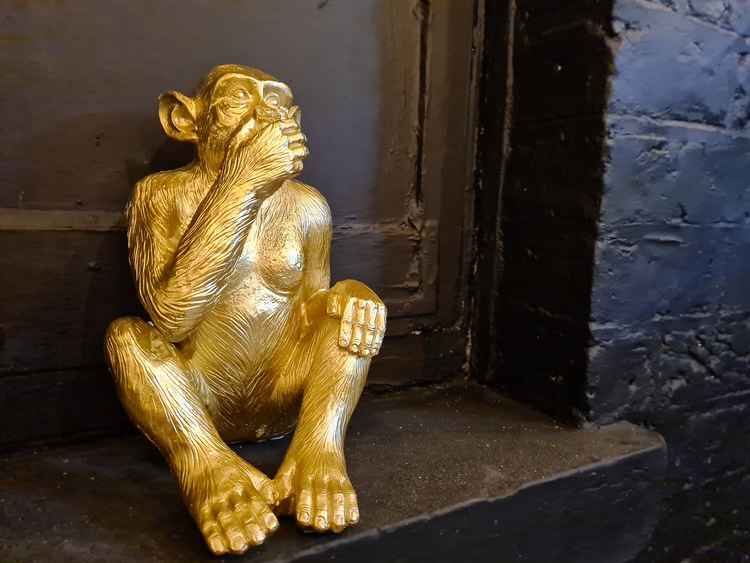 This gold monkey is looking for a name