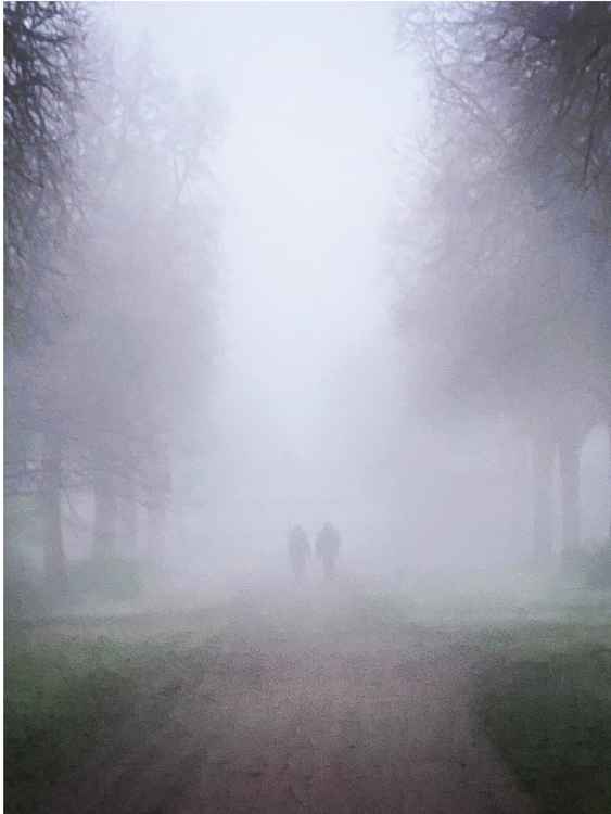 Petersham in the mist by Sarah Tippett