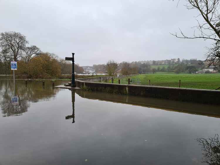 The river at Petersham Meadows