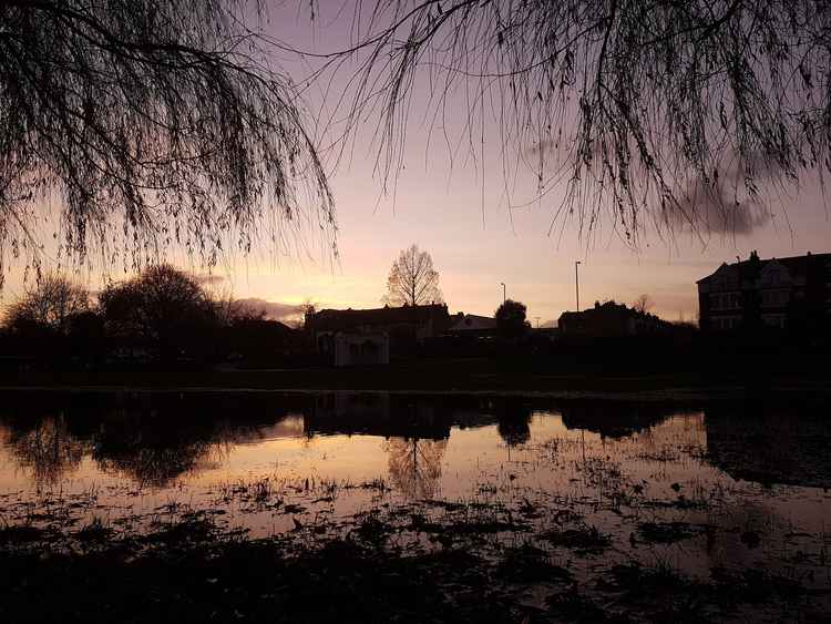 Silhouettes of Randor Gardens by Adam Tarshis