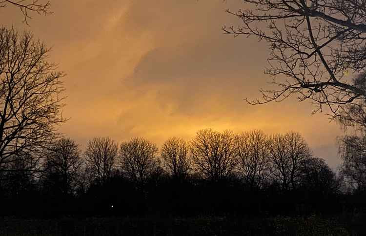 The Twickenham glow over Petersham by Sarah Tippett