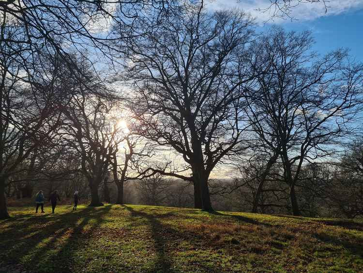 Glorious Richmond Park