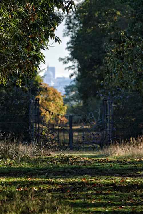 The Way to St Paul's by John Simpson