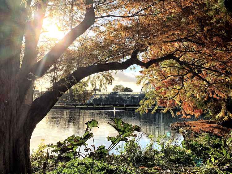 A gorgeous view of Kew Gardens by Ruth Wadey