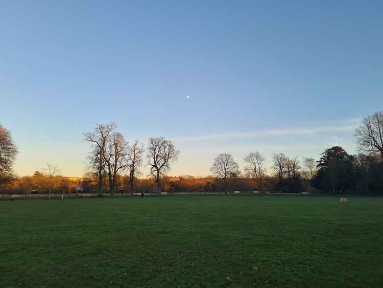 Marble Hill Park on Christmas Day