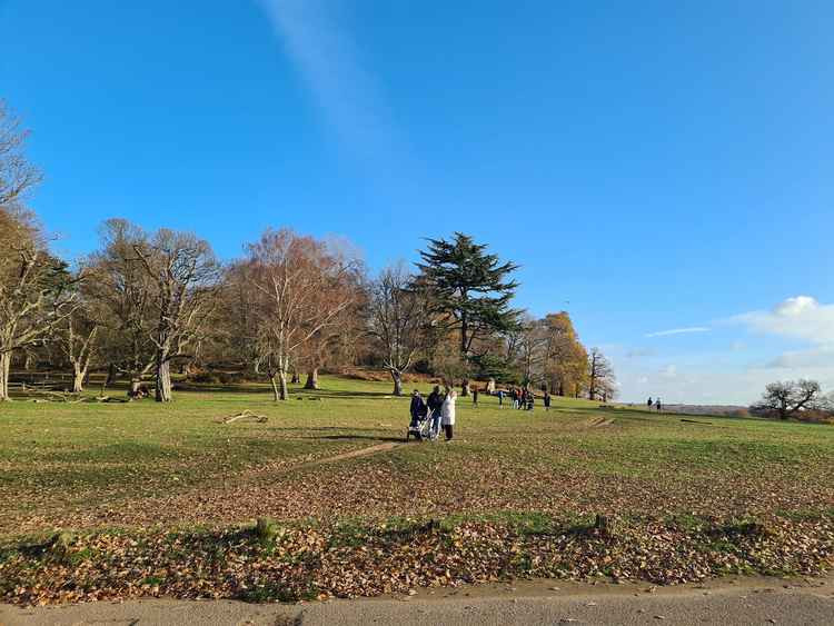 Stunning Richmond Park