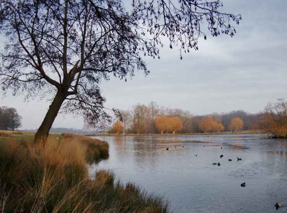 Permits are needed to fish in Richmond Park's Pen Ponds