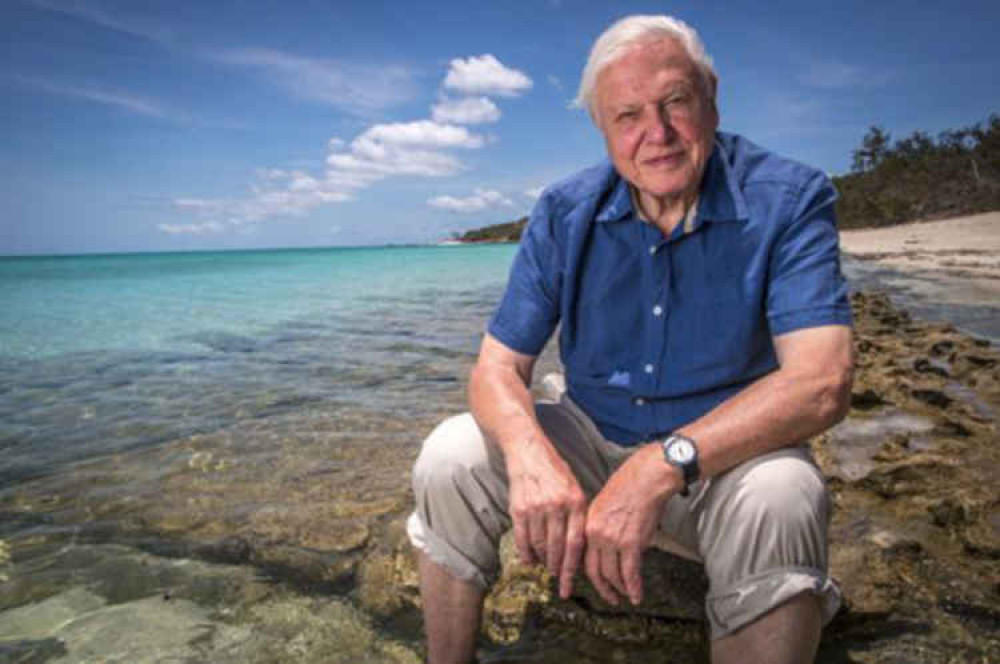 Sir David at the Great Barrier Reef. Photo from Department of Foreign Affairs and Trade