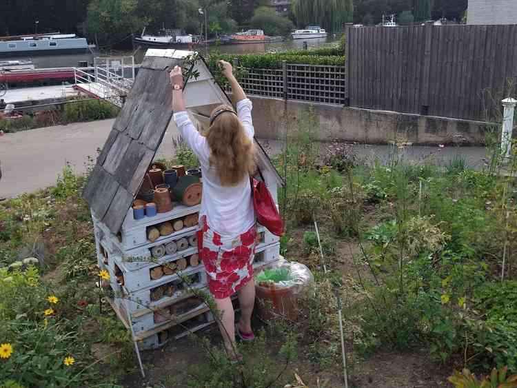 Anita decorates the slate roof with a small 'tree', in honour of the trees that provided the timber for the pallets and frame