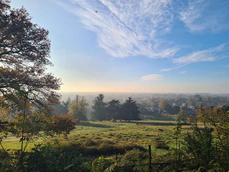 Views of Petersham from just below King Henry's Mound in Richmond Park