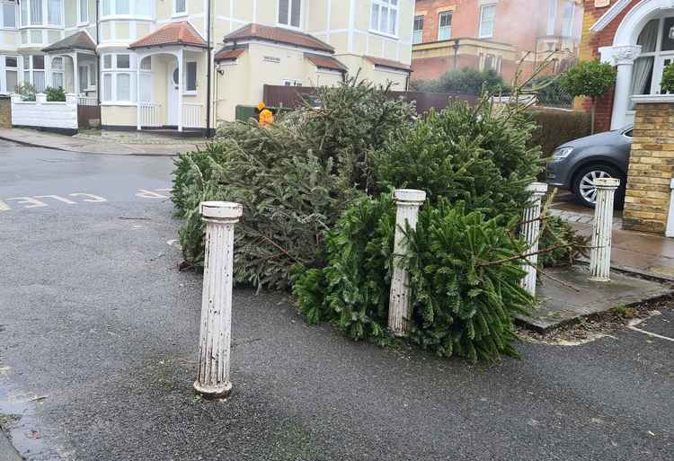 Residents should leave their trees outside their homes for collection on Saturday