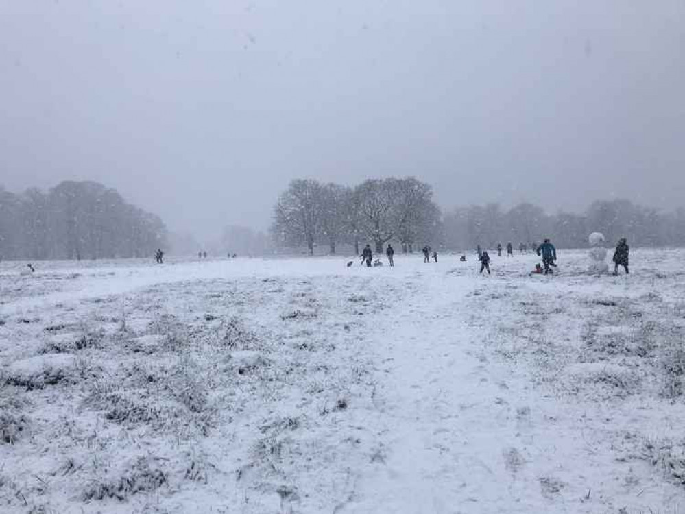 Richmond Park in the snow by Sam Hoare