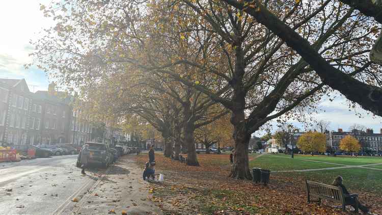 Richmond Green in the autumn