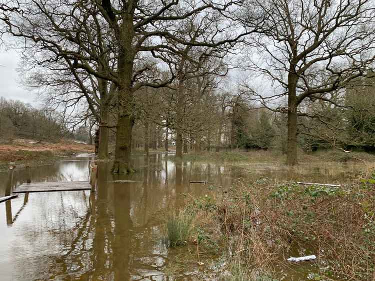 Tamsin Trail in the Kingston end of the park