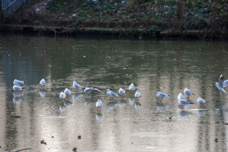 The sight of the Thames freezing used to be a lot more common