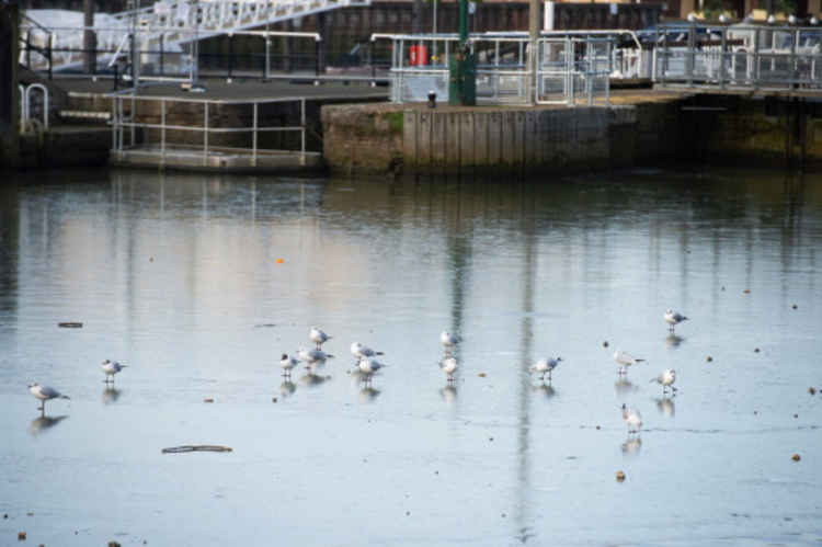 A RNLI volunteer said they had not seen the river freeze like this for more than a decade