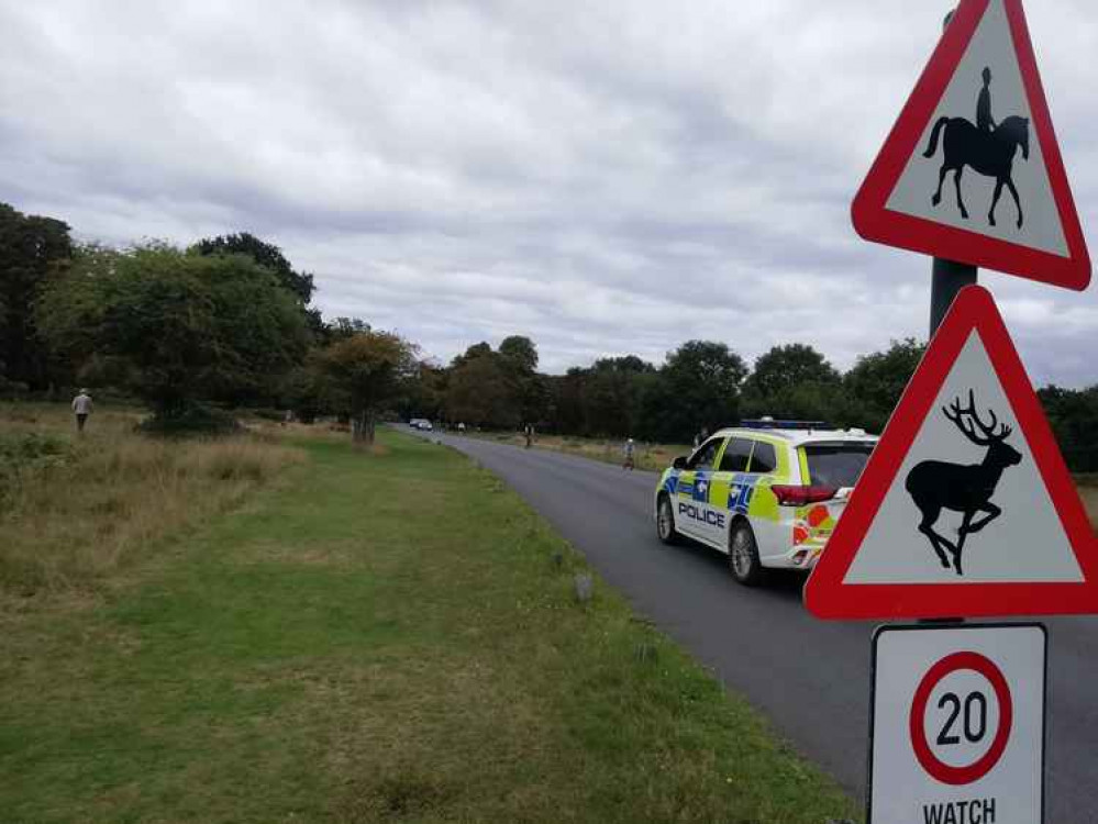 The incident happened in Richmond Park (stock photo)