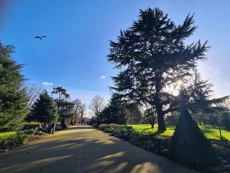 Inside Kew Gardens