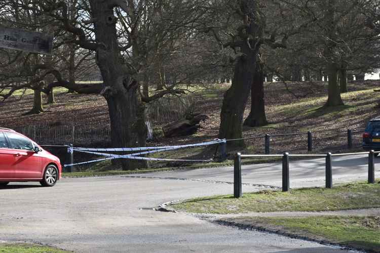 Site of crash near in Richmond Park. Photo by Jack Fifield