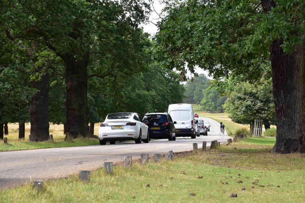 Through-traffic in Richmond Park. Stock photo by Jack Fifield