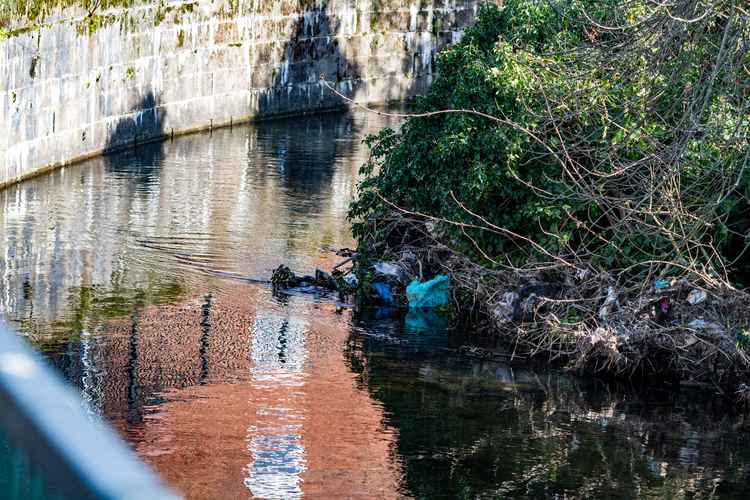 Disfigured banks of Duke of Northumberland's River - credit Simon Ridley