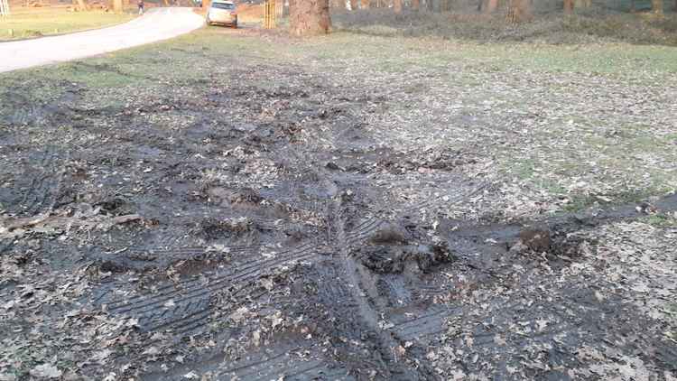 The damage left by drivers parking on the grass in the park